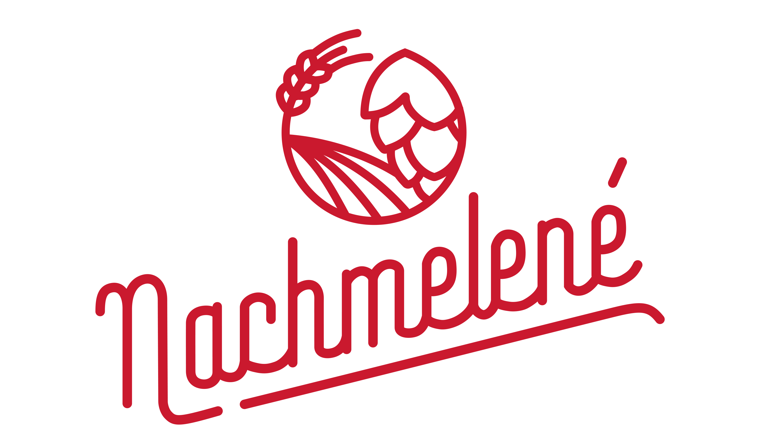 logo-export-nachmelene-cervene