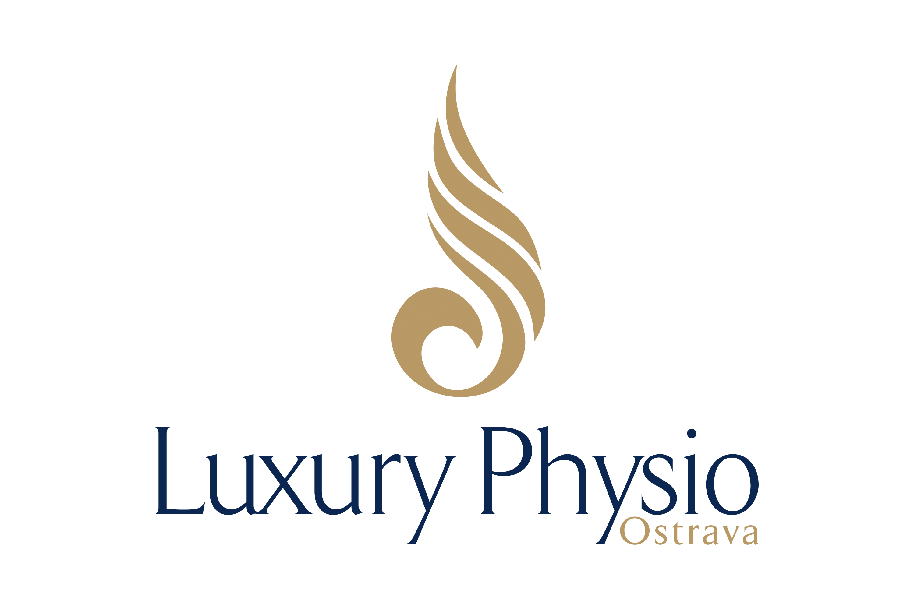 logo_luxury_physio-1